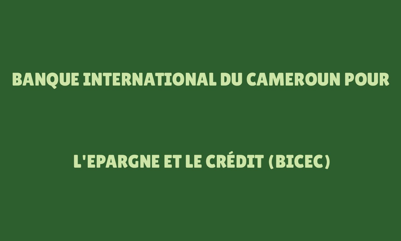 Banque International du Cameroun pour l'Epargne et le Crédit (BICEC)